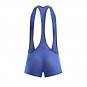 Men's sexy underwear mesh gauze stretch leotard wrestling singlet bodysuit Blue #1910