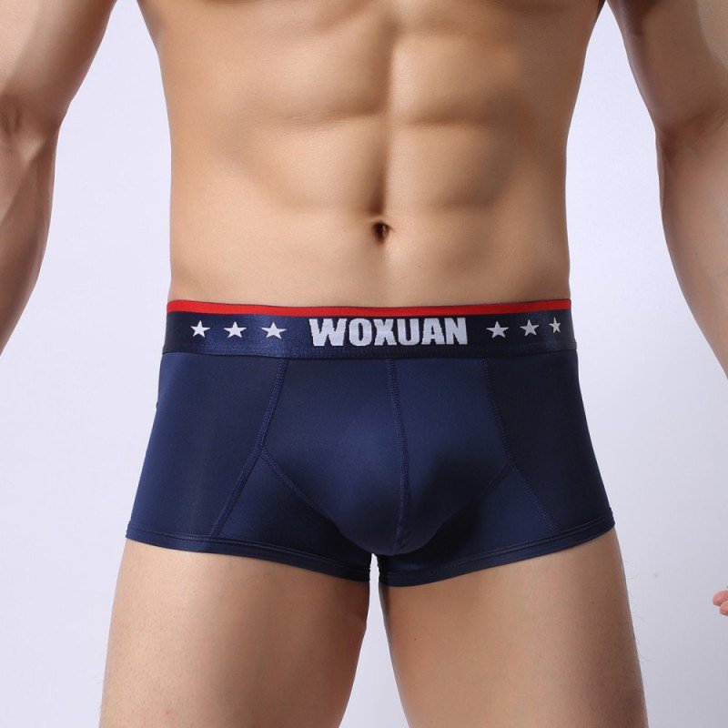 3PK Ice silk underwear Men's sexy sheer underpants nylon boxer briefs Royal #012PJ