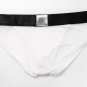 2PK Mesh Gauze Underwear Men's sexy lingerie high legs sheer briefs underpants White #BR1186