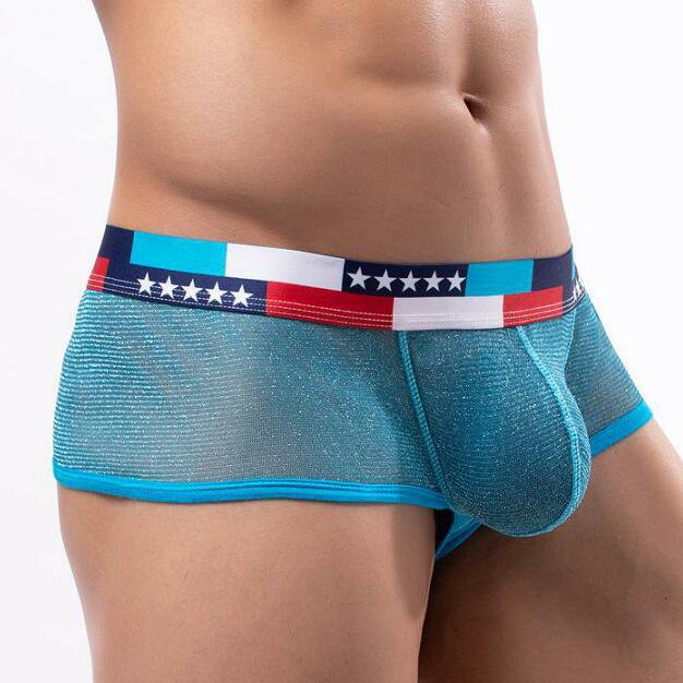 3PK Sexy Men's Underwear Shiny Mesh Gauze Lingerie Sheer Boxer Briefs Underpants Light Blue E076B