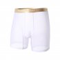 Mesh gauze 6PK Men's Sexy underwear lingerie breathable boxer shorts underpants 4040CKPJ