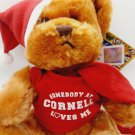 Aurora World Somebody At Cornell Loves Me Christmas Plush Stuffed Animal Bear