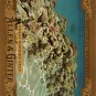2016 Topps Allen and Ginter Natural Wonders NW2 Great Barrier Reef
