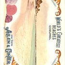 2018 Topps Allen and Ginter Worlds Greatest Beaches WGB9 Cozumel 2018 Topps Allen and Ginter Worlds Greatest Beaches WGB9 Cozumel