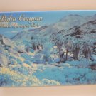 Palm Canyon Collectible Refrigerator Magnets