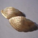Shell Carved Leaf Design Post Stud Dangle Earrings Shells Hand Made  #FJW490