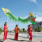 Dragon Dance 3.1m 6# 4 kid green silk Festival Celebration Christmas Holiday Party Rave Carnival Dragon Dance 3.1m 6# 4 kid green silk Festival Celebration Christmas Holiday Party Rave Carnival