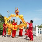 Fashion 10m yellow sz5 Golden 8 kids DRAGON DANCE living art christmas decor parade theater Costume Fashion 10m yellow sz5 Golden 8 kids DRAGON DANCE living art christmas decor parade theater Costume