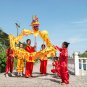 Fashion 10m yellow sz5 Golden 8 kids DRAGON DANCE living art christmas decor parade theater Costume