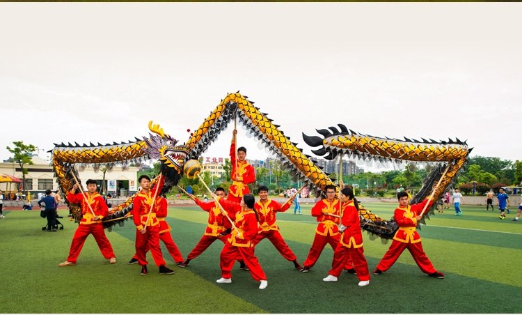 Fancy 7m Length sz5 black golden 6 student Chinese DRAGON DANCE mascot ...