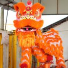 Adult Orange Southern Lion Dance mascot Costume theater parade Festival christams outdoor game