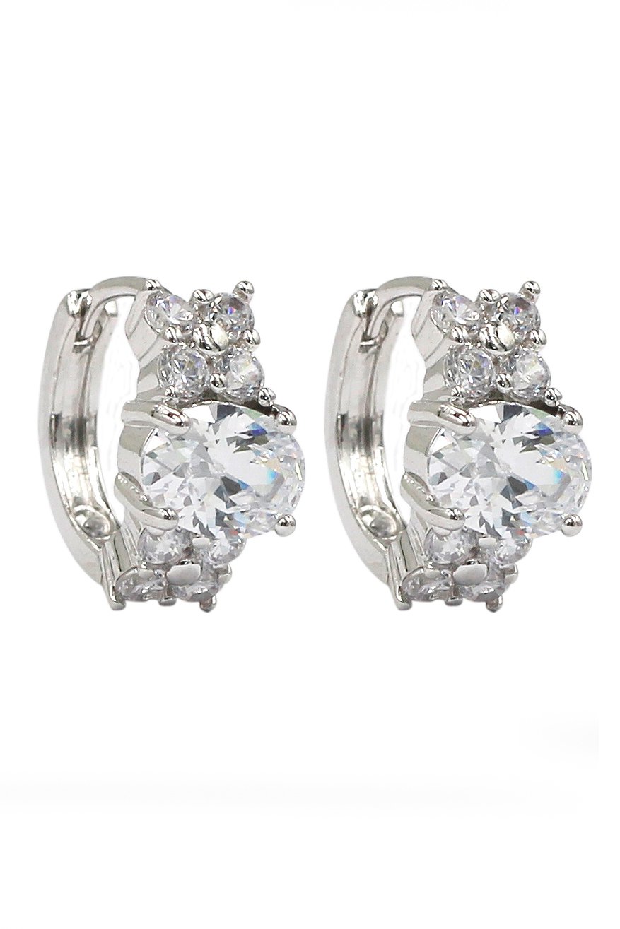 Noble oval crystal silver earrings