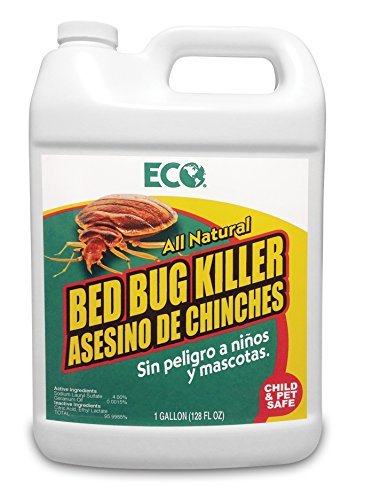 ECO Bed Bug Killer 1-Gallon ECO