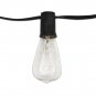 String Light Company Edison Vintage 48-Ft String Lights with 24 Sockets and 2...
