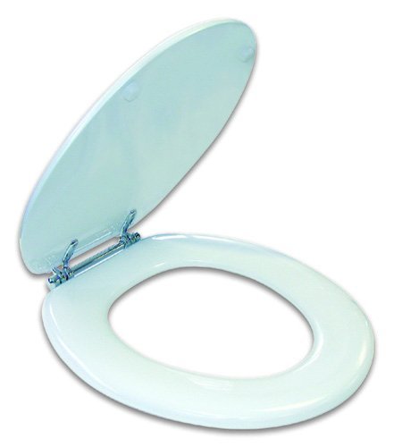 Aqua Plumb Aqua Plumb TS100W-CH Round Chrome Hinge Wood Toilet Seat - White