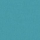 Aruba (aquamarine) velour brazilian pool beach towel 40x76 inches Dohler