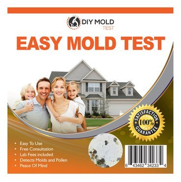 DIY Mold Test Mold Testing Kit (3 tests).FREE Lab Analysis. Enjoy Peace of Mi...