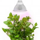 Sandalwood LED Plant Grow Light for Hydroponic Garden and Greenhouse 12W E27 ...