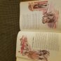 About Dogs A Childcraft Supplement Hardcover Book 1977 Adult Owned