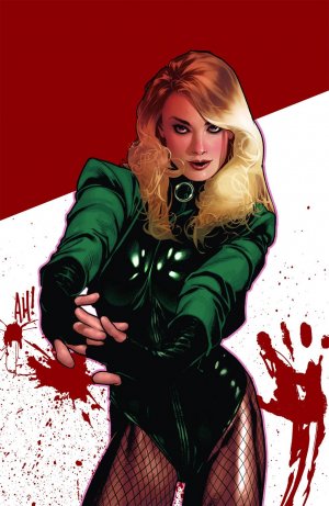 BLACK CANARY POSTER 24x36 (2007) ADAM HUGHES