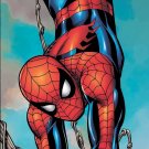 SPIDER-MAN DOOR POSTER 20x55 art by Mike Wieringo SPIDERMAN