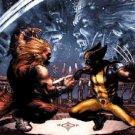 WOLVERINE vs. SABERTOOTH POSTER 24X36 INCHES art by Simone Bianchi