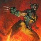 Wolverine poster 24 x 36 Art by Delotto (2012) Brand new factory sealed