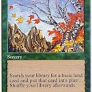 MTG Untamed Wilds (4th Edition) near mint card