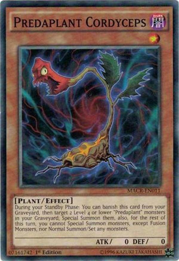 Yugioh Predaplant Cordyceps (MACREN011) 1st edition near