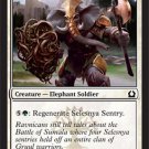 x4 MTG Selesnya Sentry (Return to Ravnica) near mint card Common FREE SHIPPING