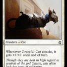 MTG Graceful Cat (Amonkhet) near mint card Common