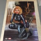 Vintage 2002 Black Widow Poster art by Greg Horn (approx. 22 x 34 inches)