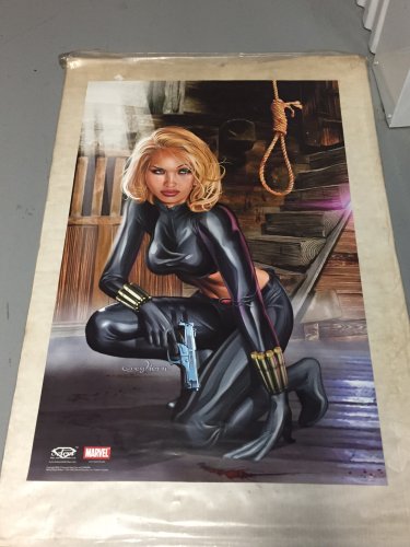 Vintage 2002 Black Widow Poster art by Greg Horn (approx. 22 x 34 inches)