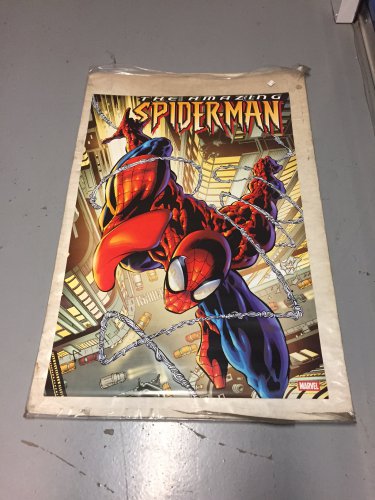 AMAZING SPIDERMAN #509 POSTER art by Mike Deodato 2004 NEW (24 x 36 inches)