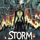 Storm:  Bring the Thunder TPB GN SC Graphic Novel Trade Paperback Greg Pak