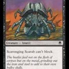 MTG Scavenging Scarab (Darksteel) very lightly played (almost a near mint card) Uncommon