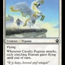 MTG Cavalry Pegasus near mint condition card Theros Common Magic the Gathering