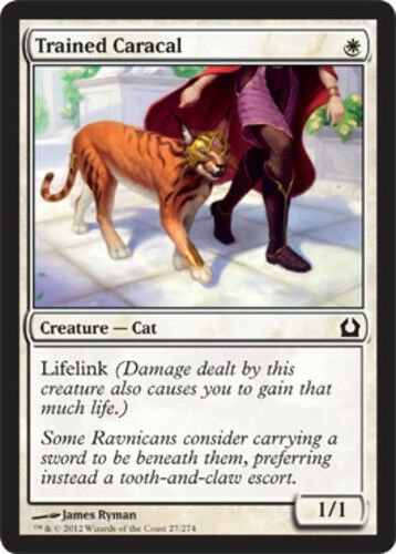 MTG Trained Caracal (Return to Ravnica) near mint condition card Common