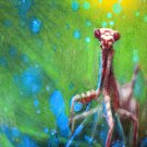 Aceo original trading card small miniature art artwork handmade insects animals