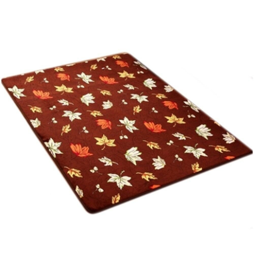 Carpet Coral Fleece Non-slip Door Mat 02 40*60cm