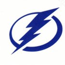 REFLECTIVE Tampa Bay Lightning fire helmet decal sticker RTIC window hard hat
