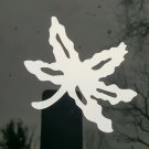 WHITE Ohio State Buckeyes Buckeye Leaf 4 inch car window decal sticker osu bucks