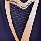 29 String Lever Harp | Portable Celtic Folk Harp | Beginner & Student Harp Instrument | Beechwood