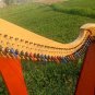 36 String Lever Harp | Folk & Celtic Harp | Beginner, Student & Performer Harp | Full Lever Setup