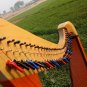 36 String Lever Harp | Folk & Celtic Harp | Beginner, Student & Performer Harp | Full Lever Setup