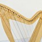 34 String Celtic Lever Harp for Students & Performers | Warm Tone | Professional Folk Harp