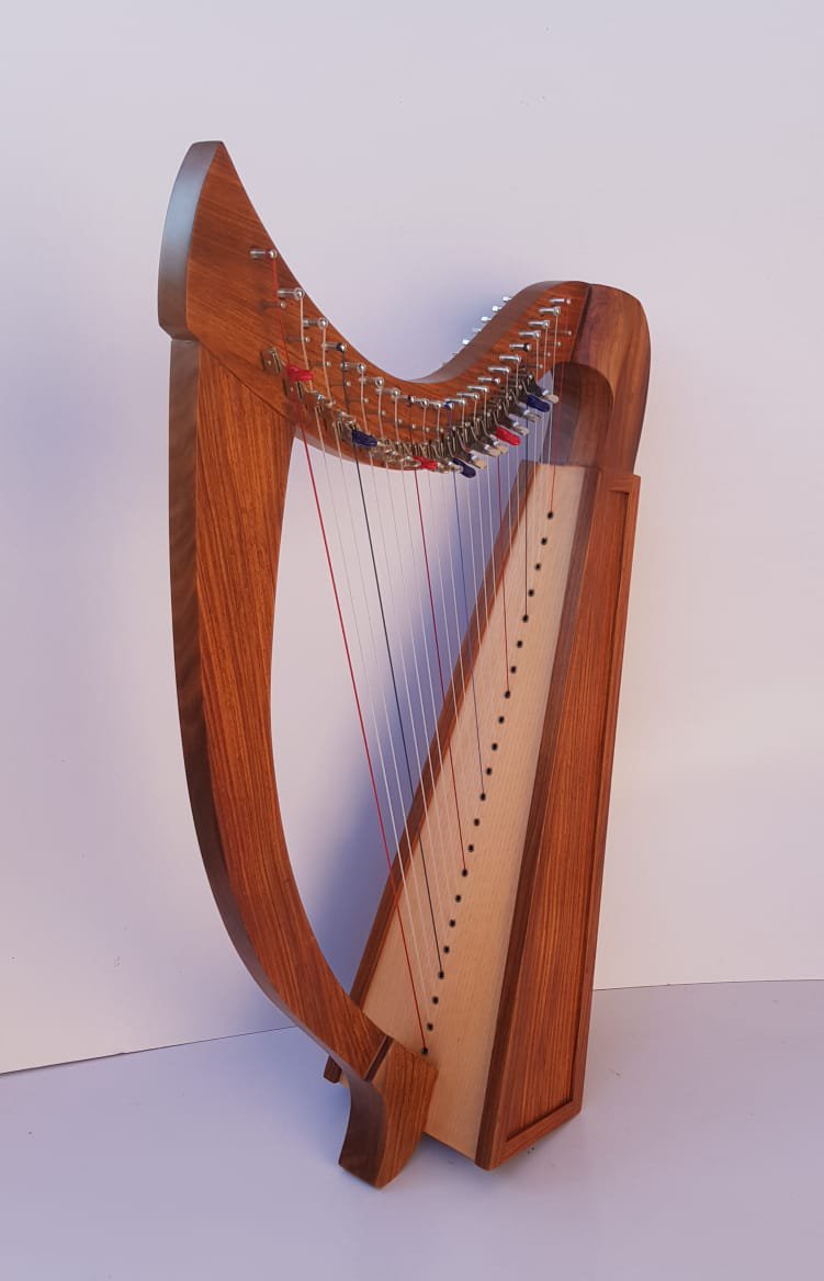 New 22 String Harp With Sharping Levers, Bag Tunning Key and Extra ...