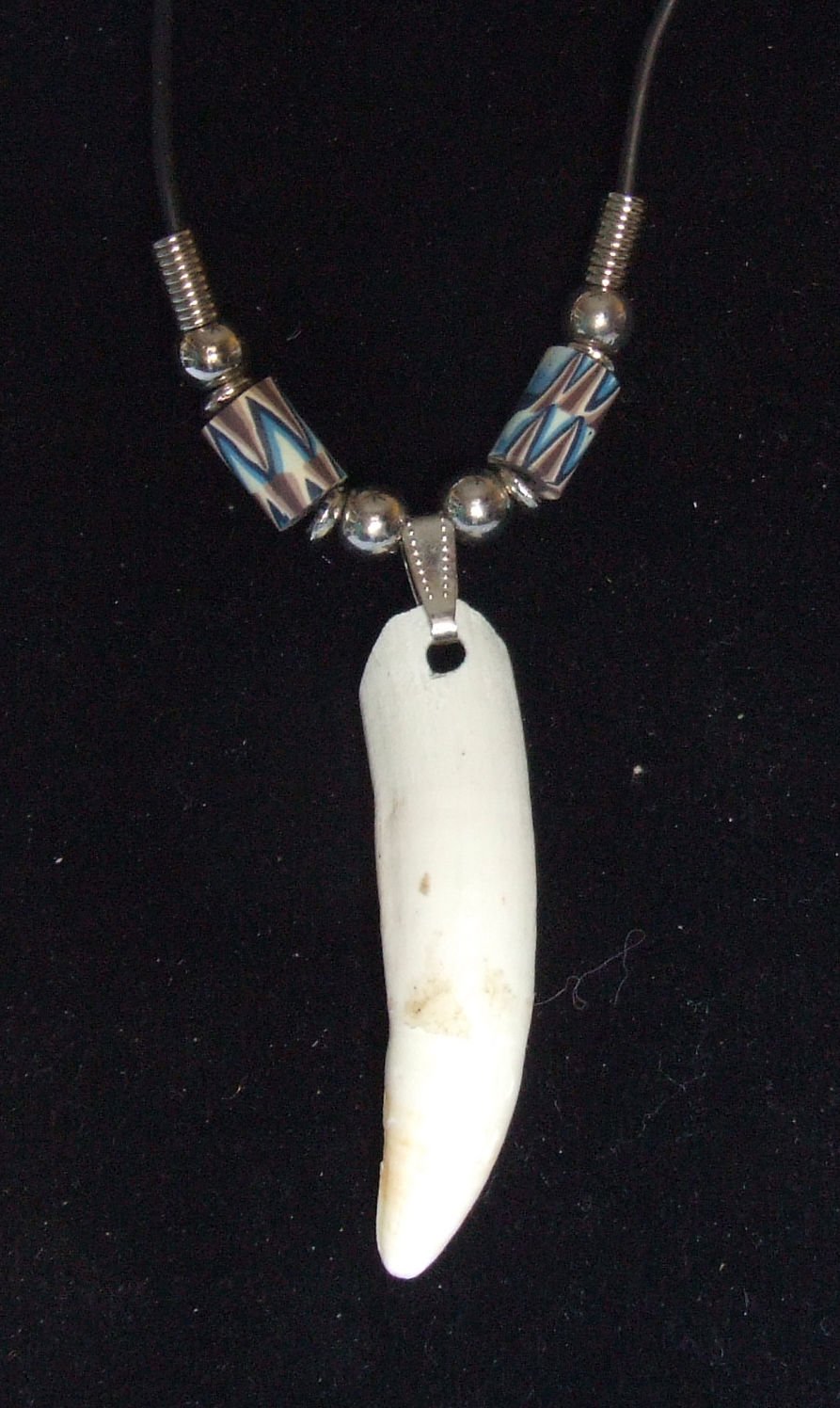 Alligator Tooth Necklace Monster 53 Individual Swamp People Gator Louisiana