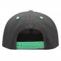 Funny Cactus Baseball Cap Women Men Snapback