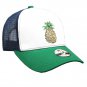 Mens Womens Pineapple Dad Hat Baseball Cap